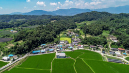 [영주 녹색농심인삼마을] 특산품 활용 먹거리 체험 마련 마을사업 성공모델 자리매김