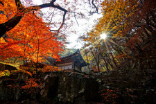 경주 용담정(龍潭亭)의 가을
