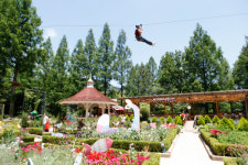 가창 허브힐즈, 대구숲으로