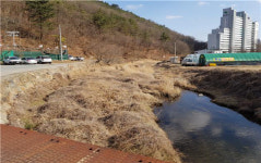 대구 지묘천 수해예방 본격화