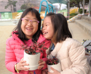 월성초 화분 속 식물이 우리 새친구랍니다