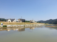 영주 체계적 하천정비 한창