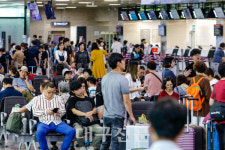 차례보다…여행으로 가족애 다져요