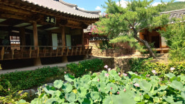 붉은 고추밭 따라 장파천 졸졸…익숙한 농촌, 그래서 더 편안