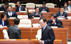 지역구 250:비례 50+100% 연동형 부상