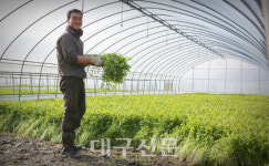 봄 알리는 미나리