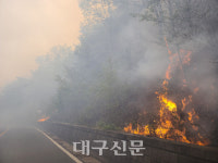 안동시 풍천면 산불 남후면과 풍산읍 등지로 확산