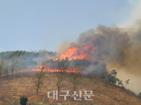 안동시 풍천면 산불 남후면과 풍산읍 등지로 확산