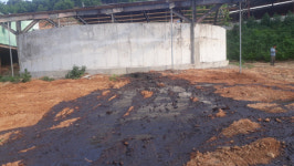 영주 돈사 재개축 현장 돈분 수백여t 유출