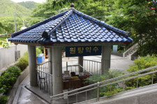 [청송 달기샘마을] 울창한 송백 아래 맑은 약수 퐁퐁 ...힐링이 따로 없네