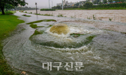 317.5㎜…기록적 폭우 대구·경북 곳곳 水難