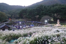 [경주 서악마을] 발 닿는 곳곳 천년 유적…애정 갖고 가꾸니 핫플레이스