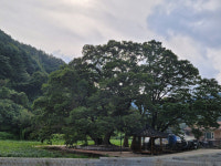 [문경 궁터 별무리마을] 백두대간 너른품 안겨 별 헤는 밤…동화같은 정취에 흠뻑