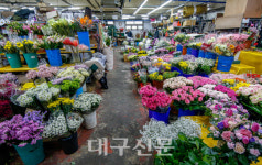 꽃은 저리도 예쁜데…