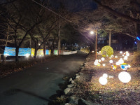 대구 앞산 큰골 새단장 그린 아트 로드 조성