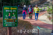 서구문화회관 장애인 진출입 불편 여전