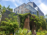 철거 위기 푸른차문화연구원 삼덕동 이전