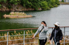 월광수변공원 음악분수대, 수달과 공존방향 찾는다
