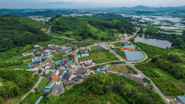 [경산 반곡2리] 동화 같은 왕버들 저수지 비경…4계절 내내 색다른 매력