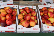 [경산 반곡2리] 동화 같은 왕버들 저수지 비경…4계절 내내 색다른 매력
