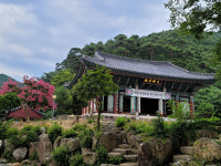 [의성 윤이실마을] 미래 세대 위해 번거로워도 친환경 농법 고집