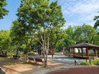 동구청, 안심근린공원 재조성 완료