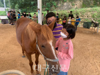 안동 남선초 승마 체험 학습 주목