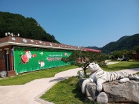 [봉화 분천산타마을] 오지 산골이 한국관광의 ★로…산타마을, 기적을 일구다