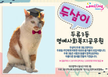 대구 달서구 두류3동, 길고양이 두삼이 명예사회복지공무원으로 임명