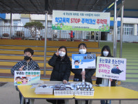 티격태격 주먹 대신 알콩달콩 콩주먹떡