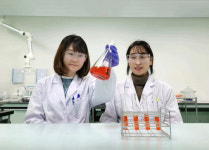 케이메디허브, K-신약 글로벌 진출 지원 성과