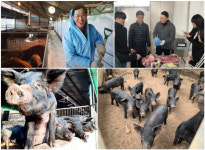 [나는 청년입니다] 가축이 처한 악조건, 인간만이 바꿀 수 있어