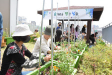 대구 동구 신천도서관, 도시농부 프로그램 11월까지 운영