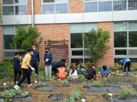 새론초 초록참살이 사제 멘토링