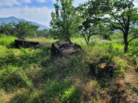 [청도군 청도읍 무등리] 끊임없는 교육과 연구로 일군 전국 최고 복숭아 고장
