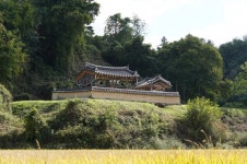 [봉화군 봉화읍 유록마을]청렴·충절·학문의 마을…내성천 따라 흐르는 540년 역사