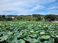 [영천 매산2동]넉넉한 인심·풍요로운 자원…귀농귀촌 1번지 꿈 영근다