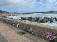 [2022 경상북도 마을이야기 ] 자연재해 취약한 어촌마을, 아픔 딛고 푸른 희망 품다