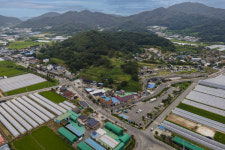 [성주 안포5리]전국 각지서 귀농귀촌 줄잇는 손꼽히는 부농 마을