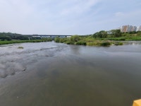 금호강 산업용 물질 오염 전국 최고