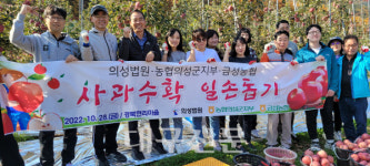 의성 법원·농협의성군지부·금성농협 사과수확 일손돕기