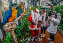 [포토] 이월드 버드파크에서 앵무새와 함께~
