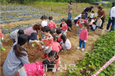 영주시, 비농업인 대상 도시텃밭 무료 분양