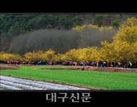 경북도, 다채로운 봄축제 개최