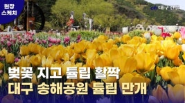 [현장스케치] 활짝 만개한 튤립으로 가득한 송해공원...상춘객 북적