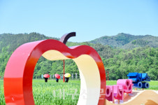 청송군, 산소카페 청송정원 청보리 새단장
