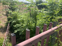 학교 후문 신설 위치, 도로 인접…조정 필요