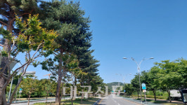 대구시, 산림청 가로수 조성·관리 교육 개최···가로수 올바른 관리, 안전성 강화 방안 토론
