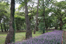 [2023 경상북도 마을이야기] 영천 화북면 입석리, 수백년 역사 댐 속에…수몰 아픔 딛고 관광명소 거듭나다