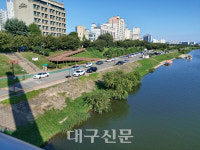 동촌유원지 제방 쌓으면 상권 어쩌나